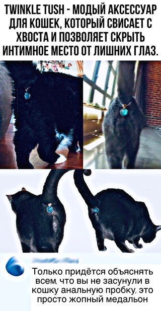 Анекдоты обо всем - Бодибилдинг форум AnabolicShops