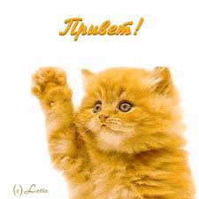 italicafarm.com - Бодибилдинг форум AnabolicShops