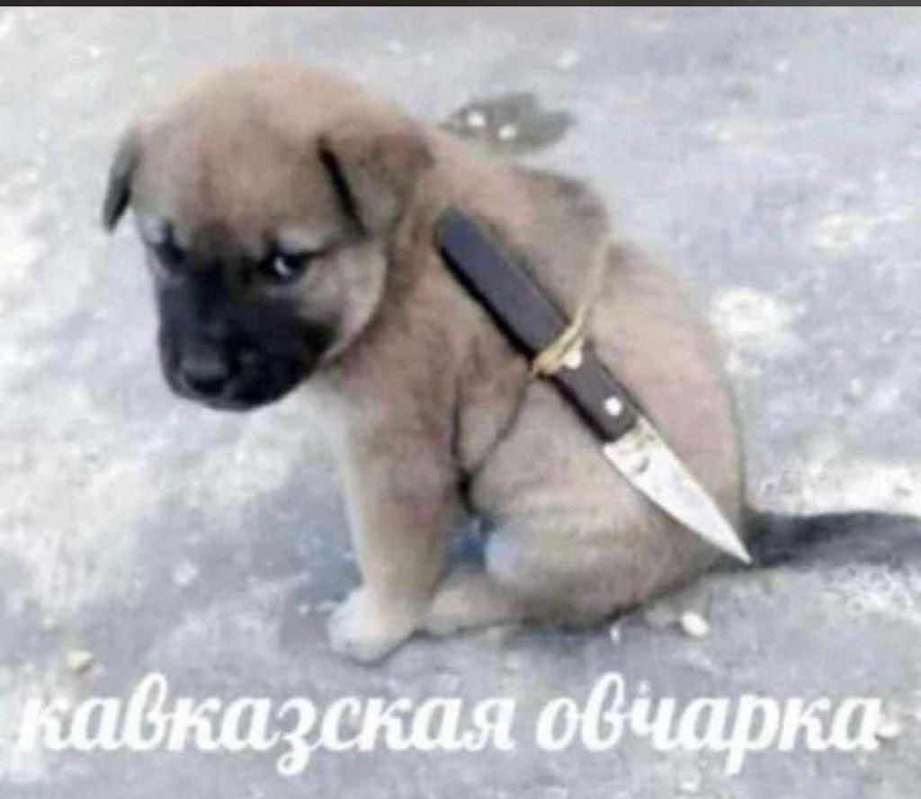 Анекдоты обо всем - Бодибилдинг форум AnabolicShops