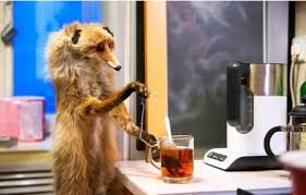 italicafarm.com - Бодибилдинг форум AnabolicShops