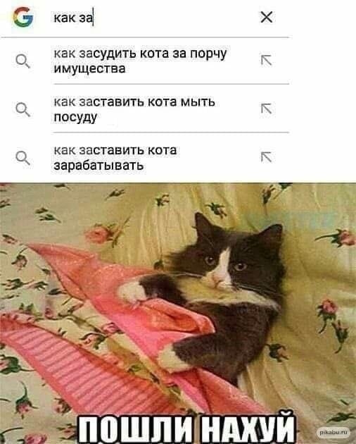 Анекдоты обо всем - Бодибилдинг форум AnabolicShops