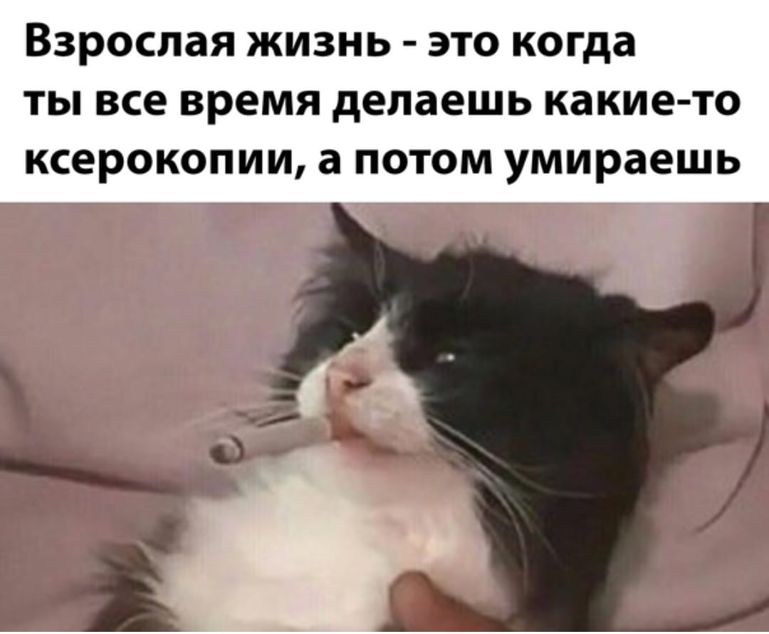 Анекдоты обо всем - Бодибилдинг форум AnabolicShops