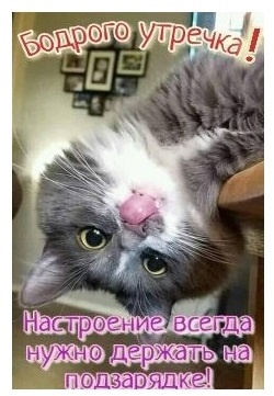 Курилка- разговоры на любые темы - Бодибилдинг форум AnabolicShops