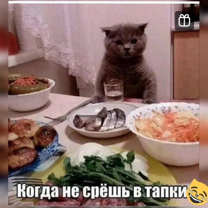 Анекдоты обо всем - Бодибилдинг форум AnabolicShops