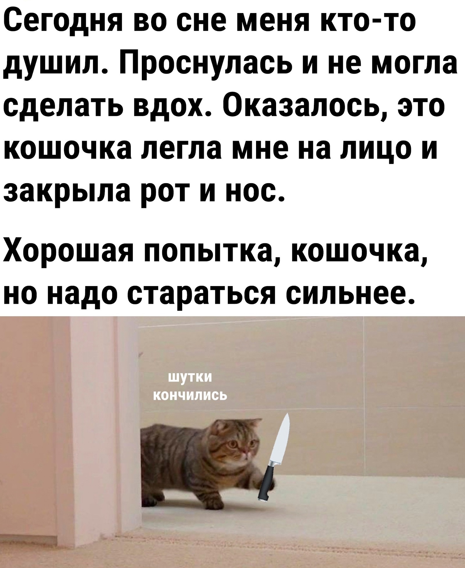 Анекдоты обо всем - Бодибилдинг форум AnabolicShops