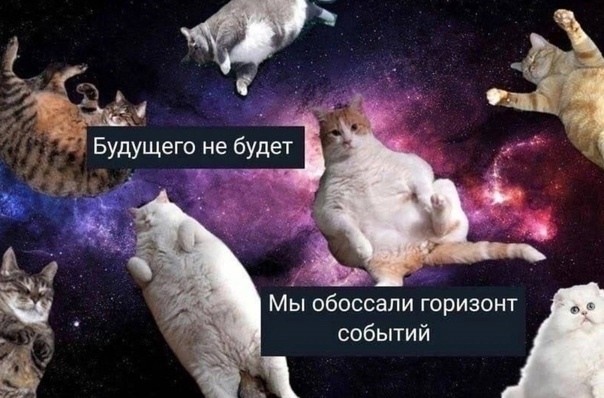 Анекдоты обо всем - Бодибилдинг форум AnabolicShops