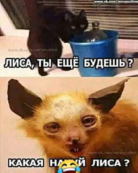 Анекдоты обо всем - Бодибилдинг форум AnabolicShops