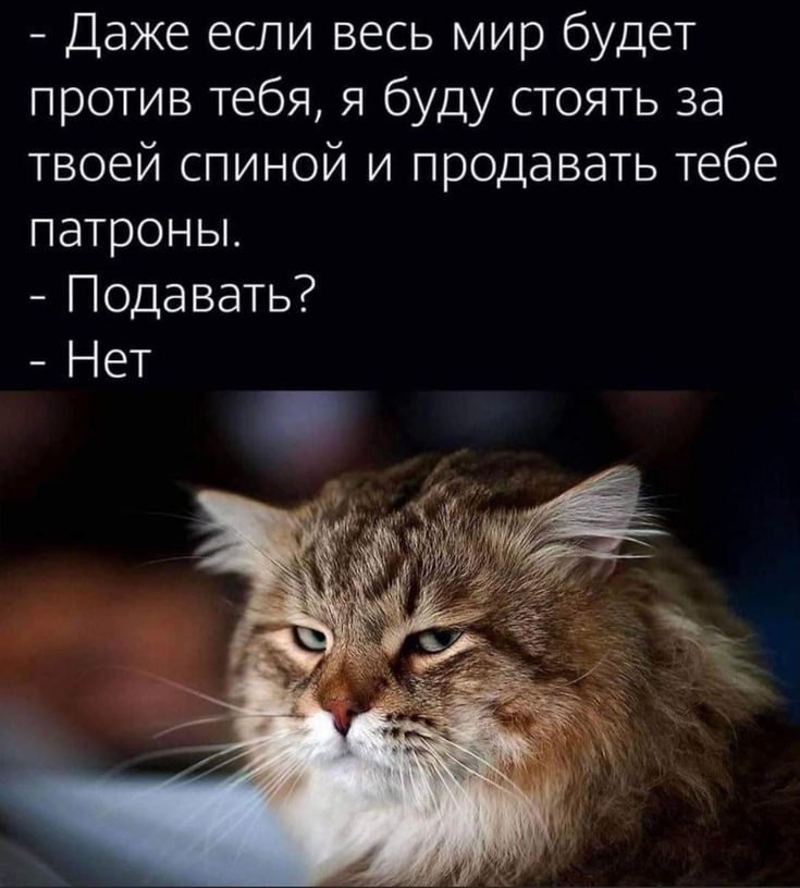 Дека Дик: реальная причина и потенциальное лекарство - Бодибилдинг форум AnabolicShops