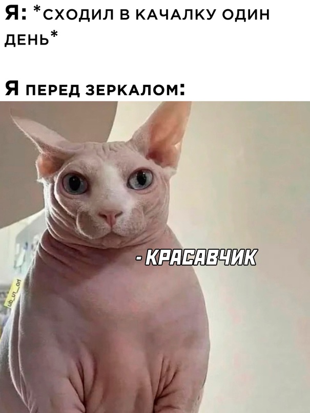 Курилка- разговоры на любые темы - Бодибилдинг форум AnabolicShops