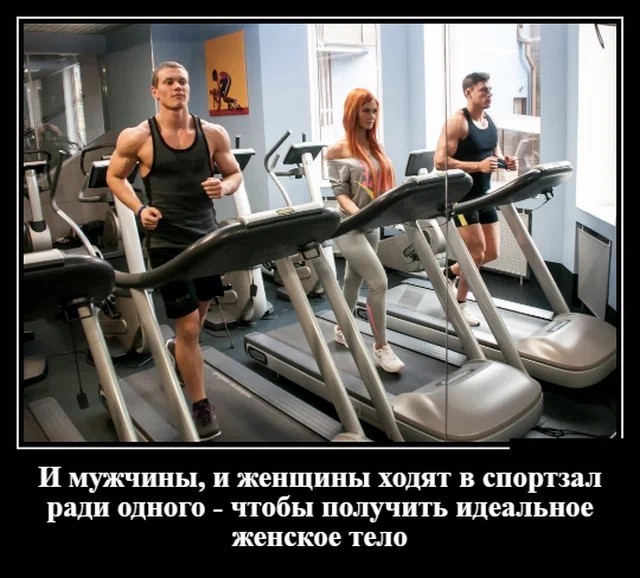 Курилка- разговоры на любые темы - Бодибилдинг форум AnabolicShops