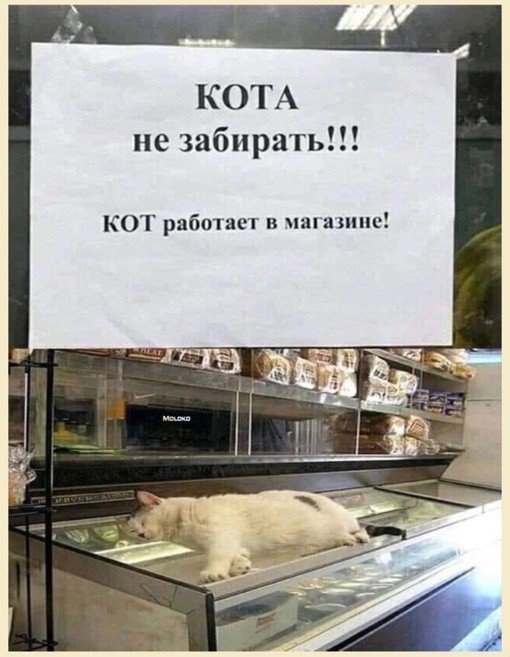 Анекдоты обо всем - Бодибилдинг форум AnabolicShops