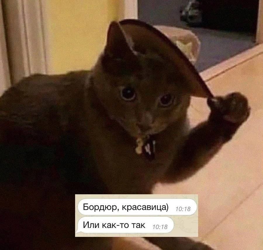 Анекдоты обо всем - Бодибилдинг форум AnabolicShops