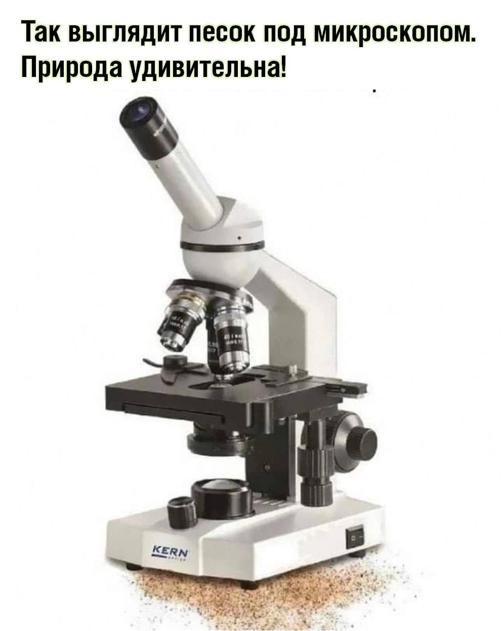 Анекдоты обо всем - Бодибилдинг форум AnabolicShops