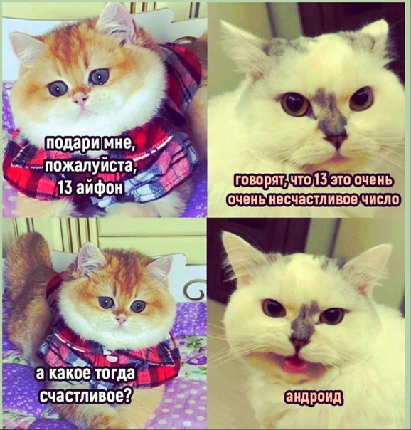 Анекдоты обо всем - Бодибилдинг форум AnabolicShops