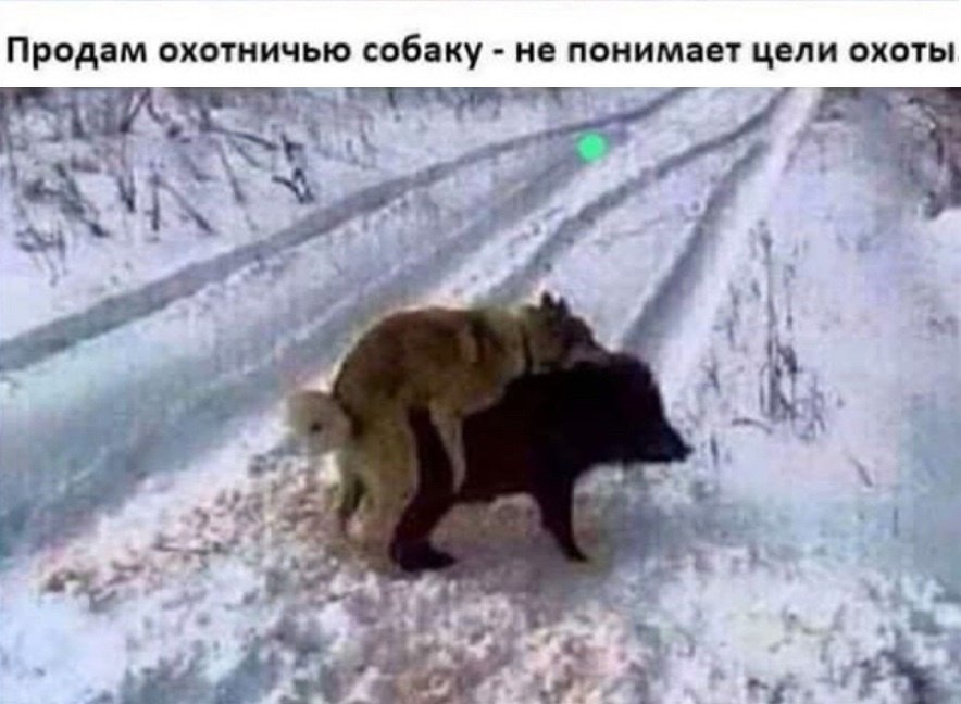 Анекдоты обо всем - Бодибилдинг форум AnabolicShops