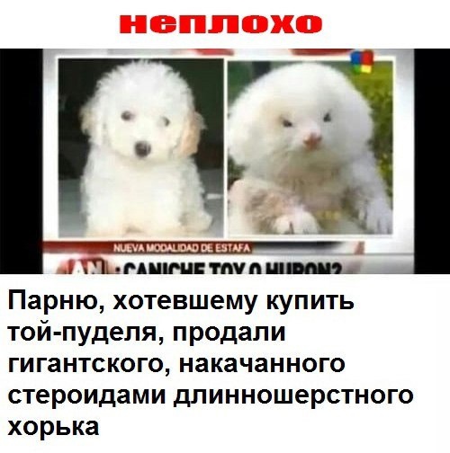 Курилка- разговоры на любые темы - Бодибилдинг форум AnabolicShops