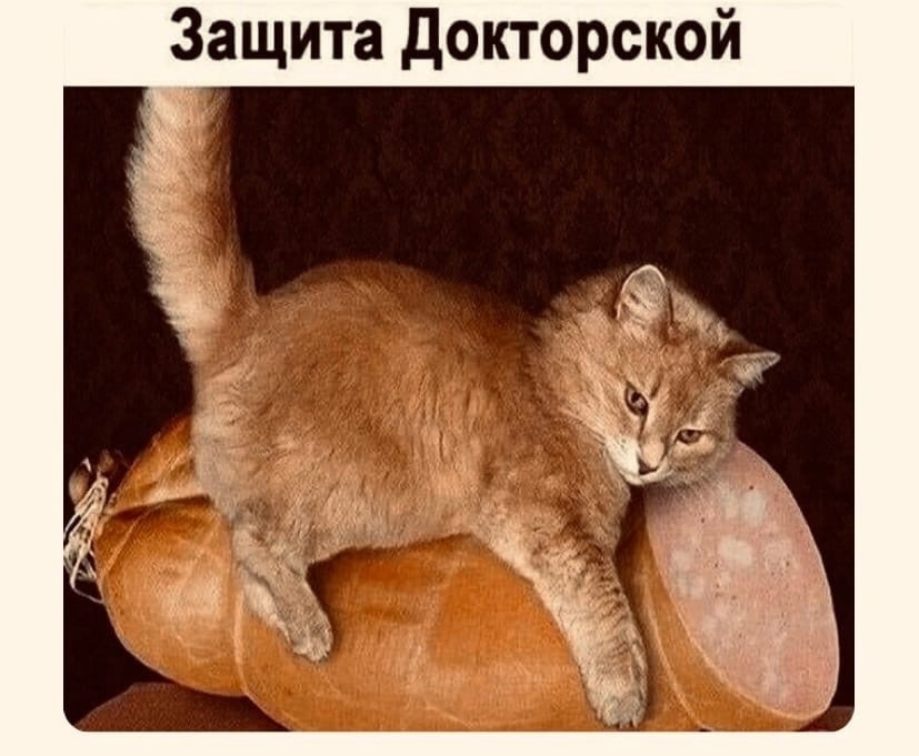 Анекдоты обо всем - Бодибилдинг форум AnabolicShops