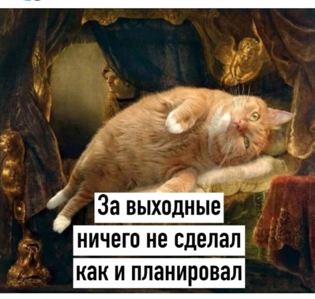 Курилка- разговоры на любые темы - Бодибилдинг форум AnabolicShops