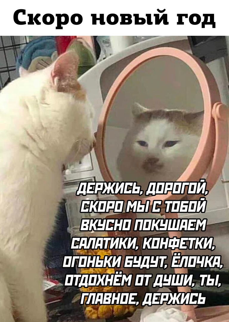 Курилка- разговоры на любые темы - Бодибилдинг форум AnabolicShops