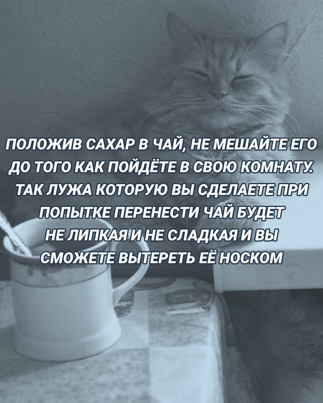 Анекдоты обо всем - Бодибилдинг форум AnabolicShops