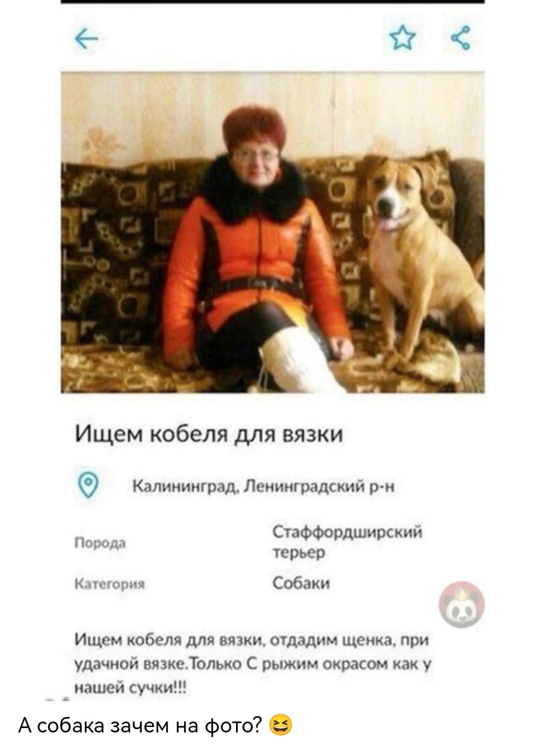 Анекдоты обо всем - Бодибилдинг форум AnabolicShops