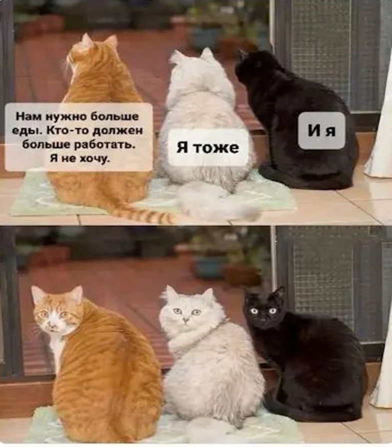 Мои домашние питомцы - Бодибилдинг форум AnabolicShops