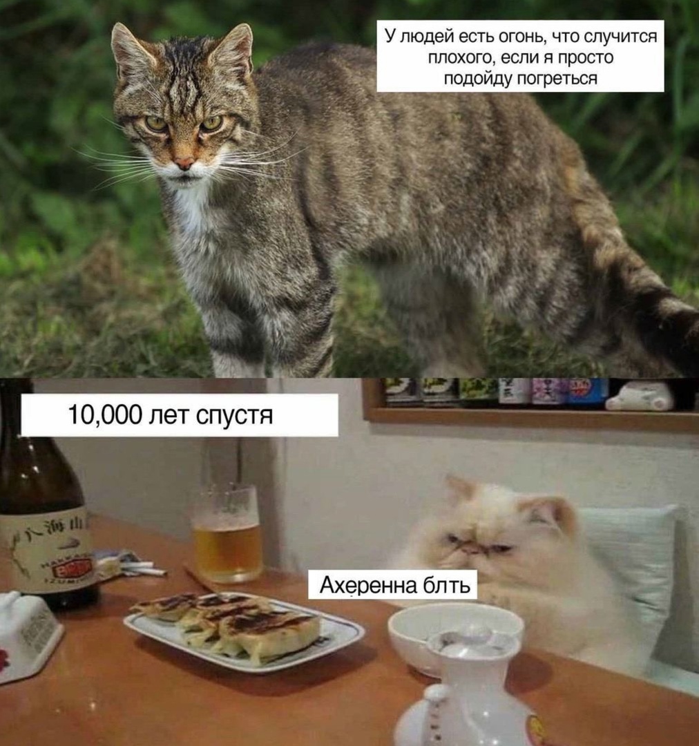 Анекдоты обо всем - Бодибилдинг форум AnabolicShops