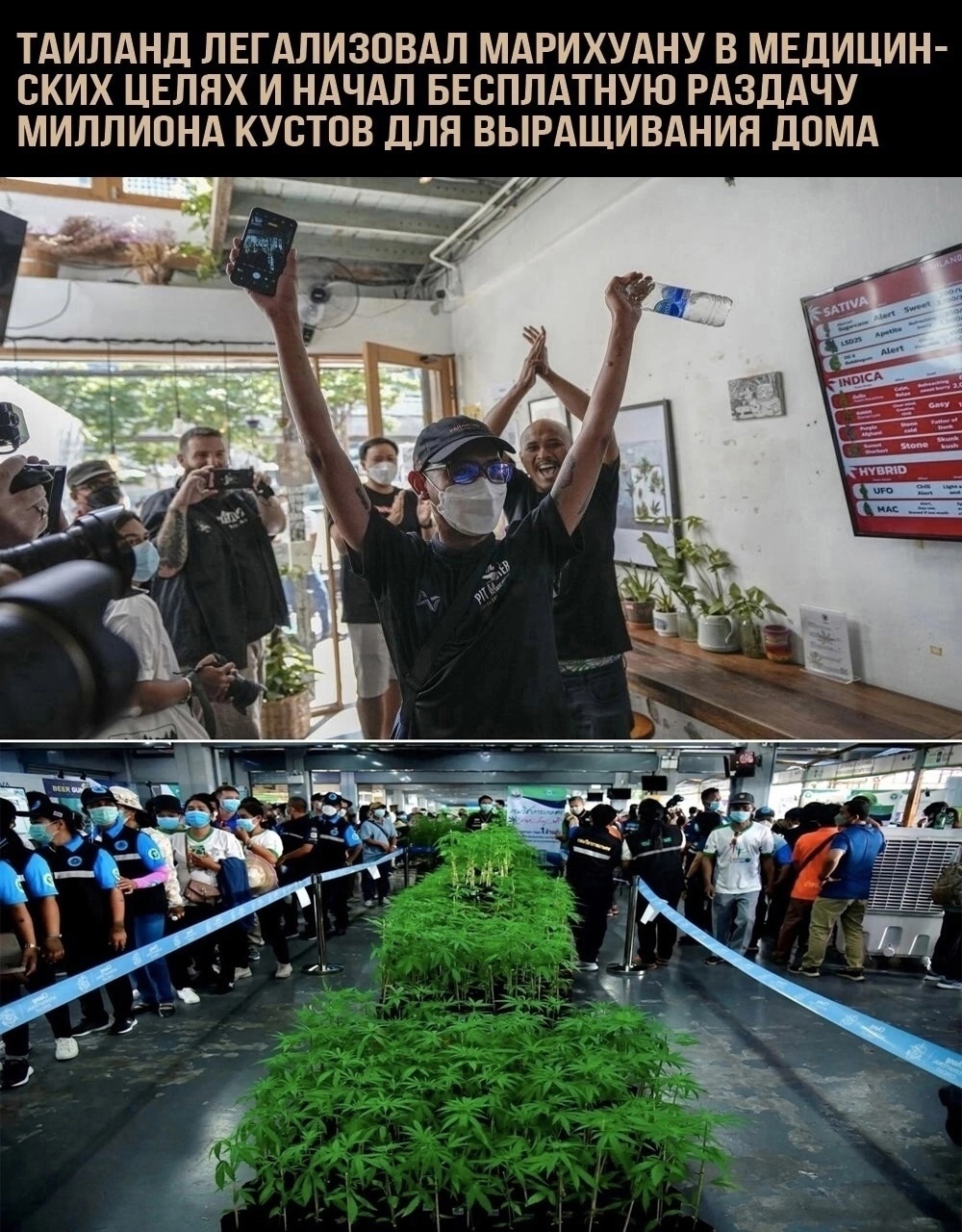 Курилка- разговоры на любые темы - Бодибилдинг форум AnabolicShops