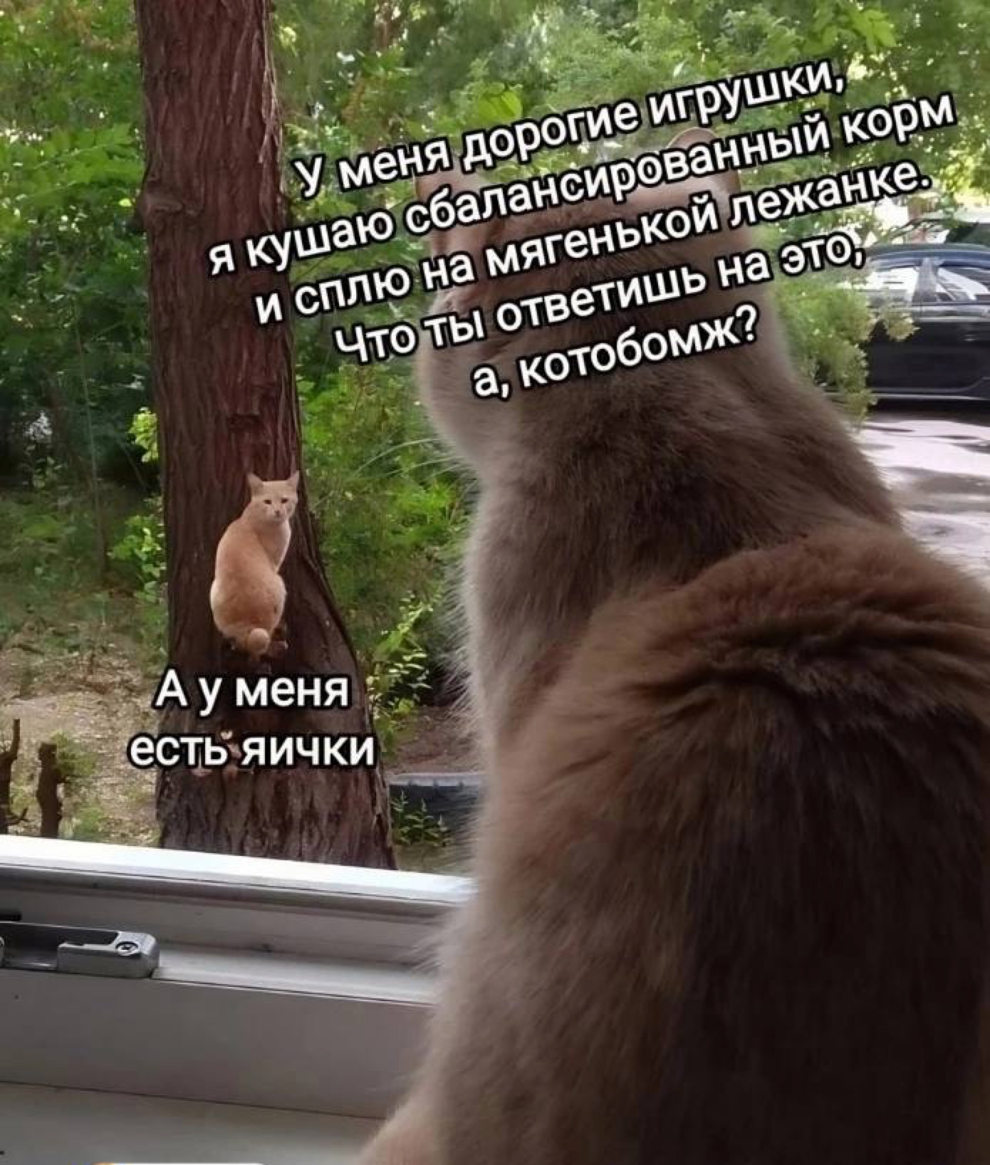 Анекдоты обо всем - Бодибилдинг форум AnabolicShops