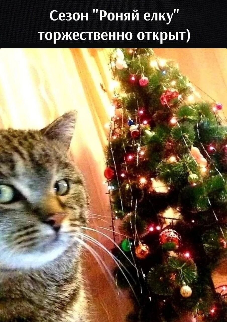 Анекдоты обо всем - Бодибилдинг форум AnabolicShops