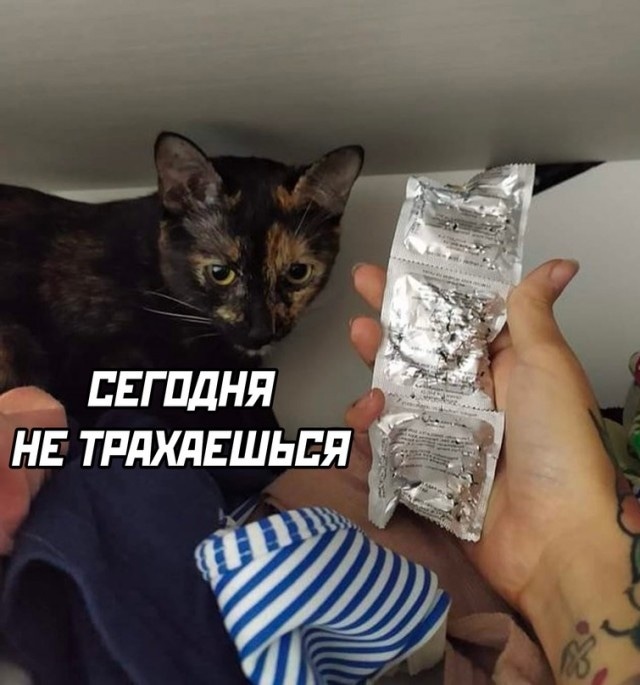 Анекдоты обо всем - Бодибилдинг форум AnabolicShops