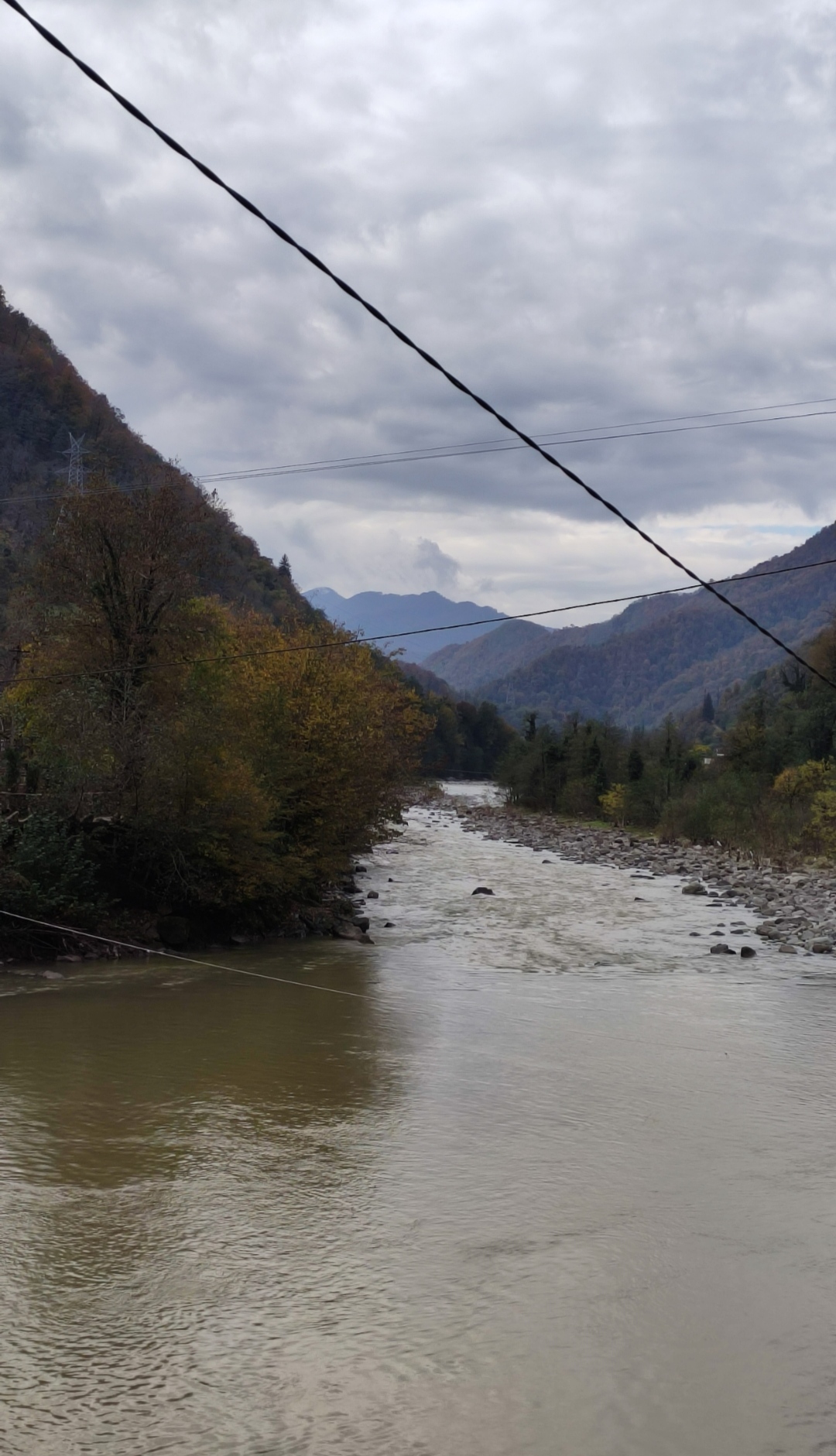 Записки пауэрлифтера на диете - Бодибилдинг форум AnabolicShops
