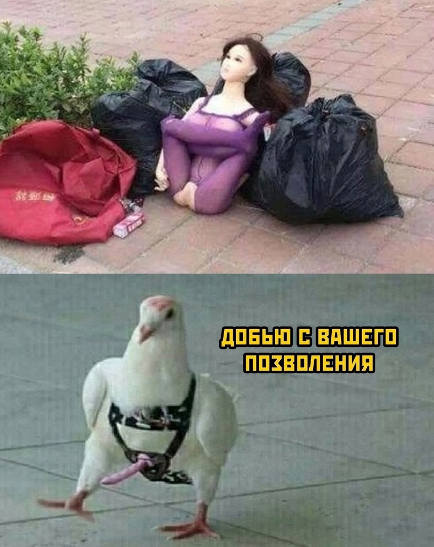 Анекдоты обо всем - Бодибилдинг форум AnabolicShops