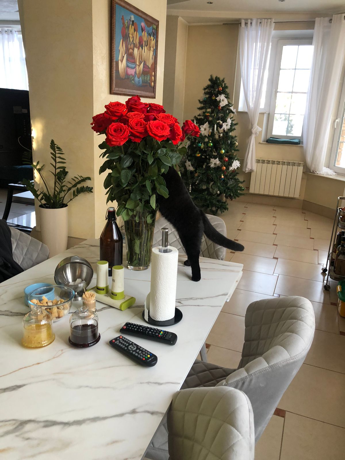 Мои домашние питомцы - Бодибилдинг форум AnabolicShops