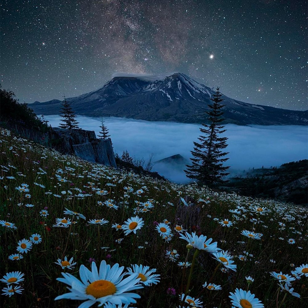 Курилка- разговоры на любые темы - Бодибилдинг форум AnabolicShops