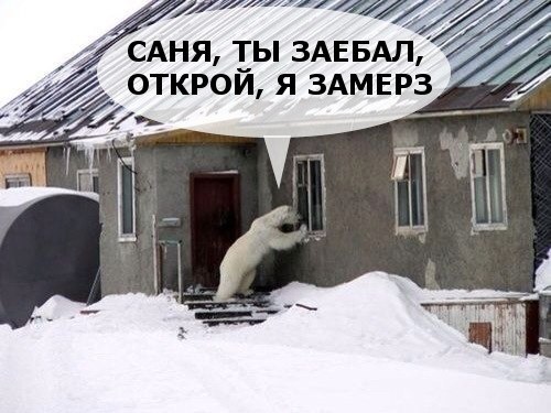 Курилка- разговоры на любые темы - Бодибилдинг форум AnabolicShops