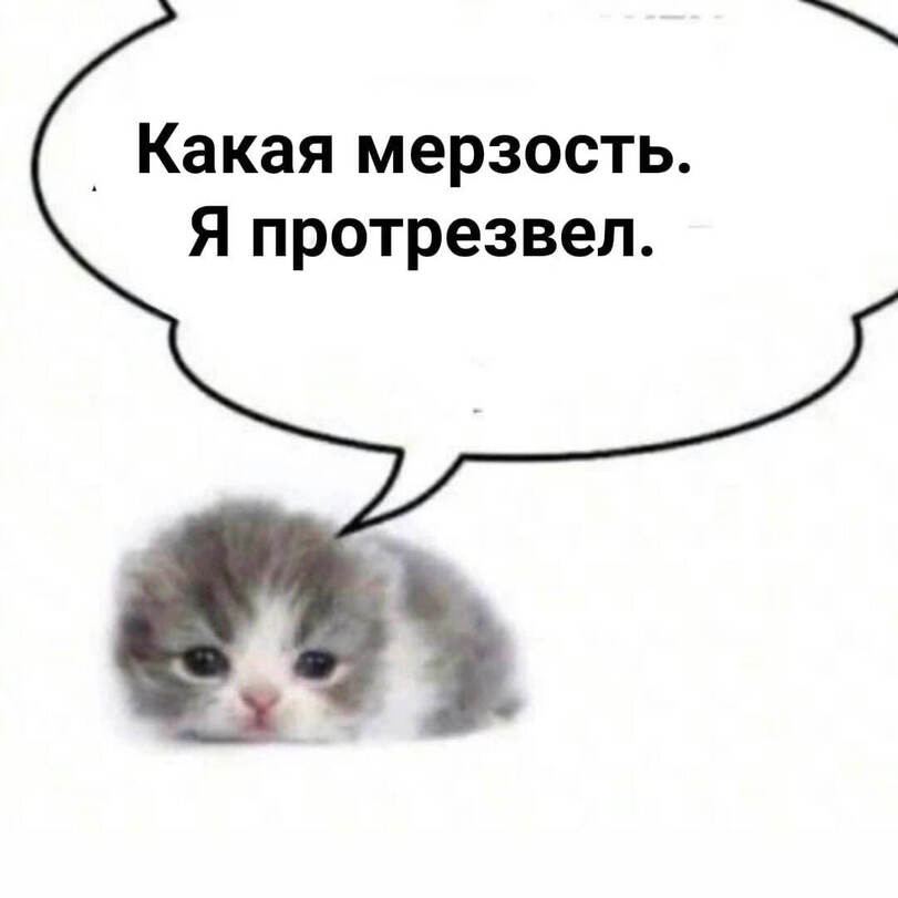 Курилка- разговоры на любые темы - Бодибилдинг форум AnabolicShops