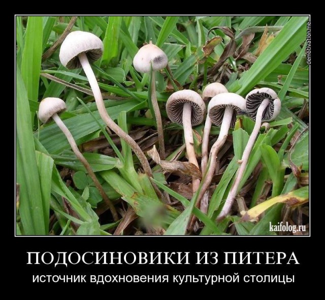 Анекдоты обо всем - Бодибилдинг форум AnabolicShops