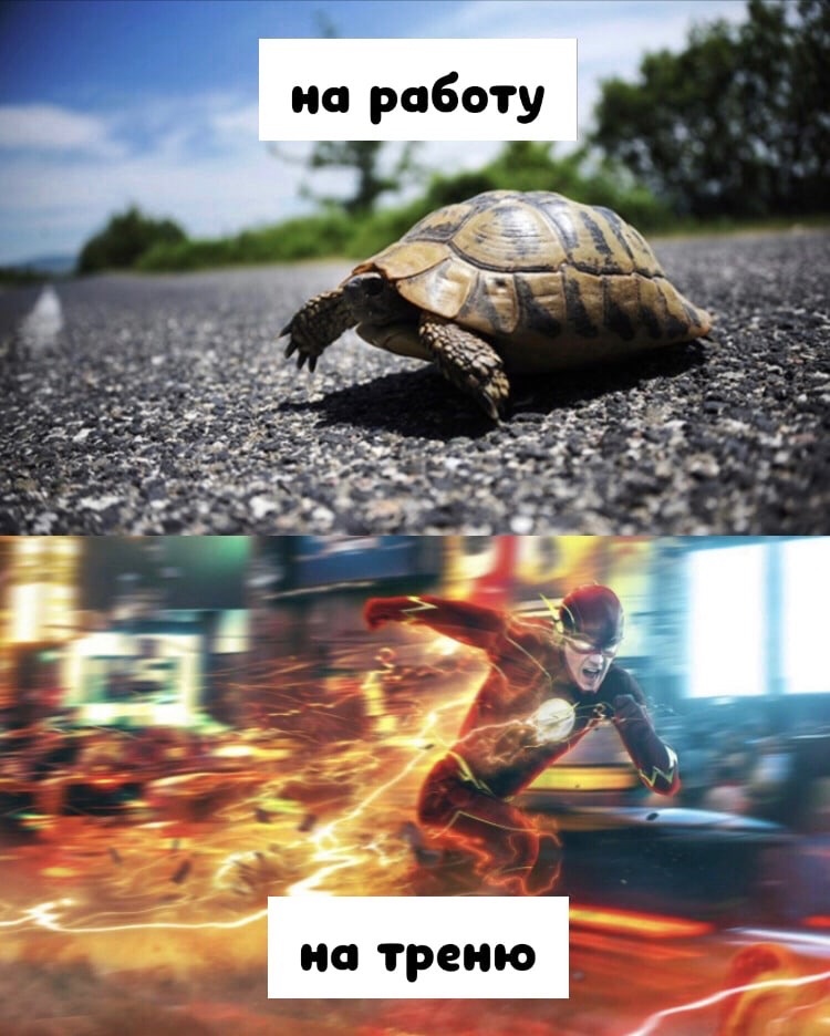 Курилка- разговоры на любые темы - Бодибилдинг форум AnabolicShops