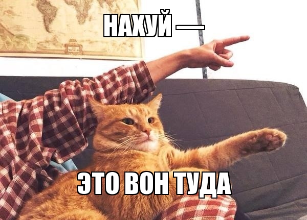 Колясочники скандалят с организаторами Олимпии после ужасов шоу - Бодибилдинг форум AnabolicShops