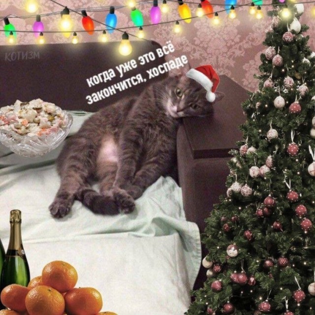 Курилка- разговоры на любые темы - Бодибилдинг форум AnabolicShops