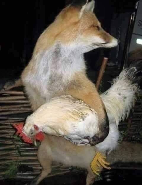 Анекдоты обо всем - Бодибилдинг форум AnabolicShops