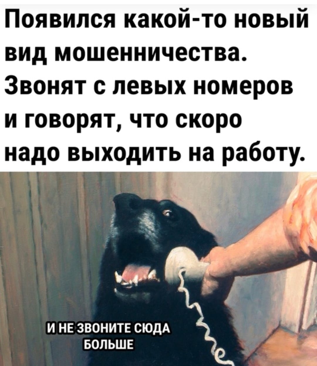 Анекдоты обо всем - Бодибилдинг форум AnabolicShops