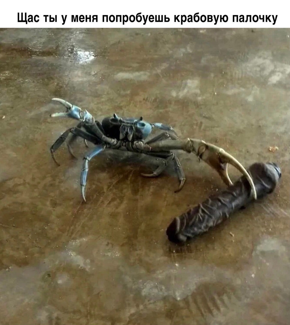 Анекдоты обо всем - Бодибилдинг форум AnabolicShops