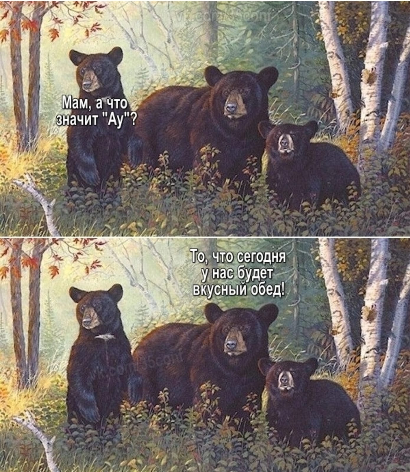 Анекдоты обо всем - Бодибилдинг форум AnabolicShops