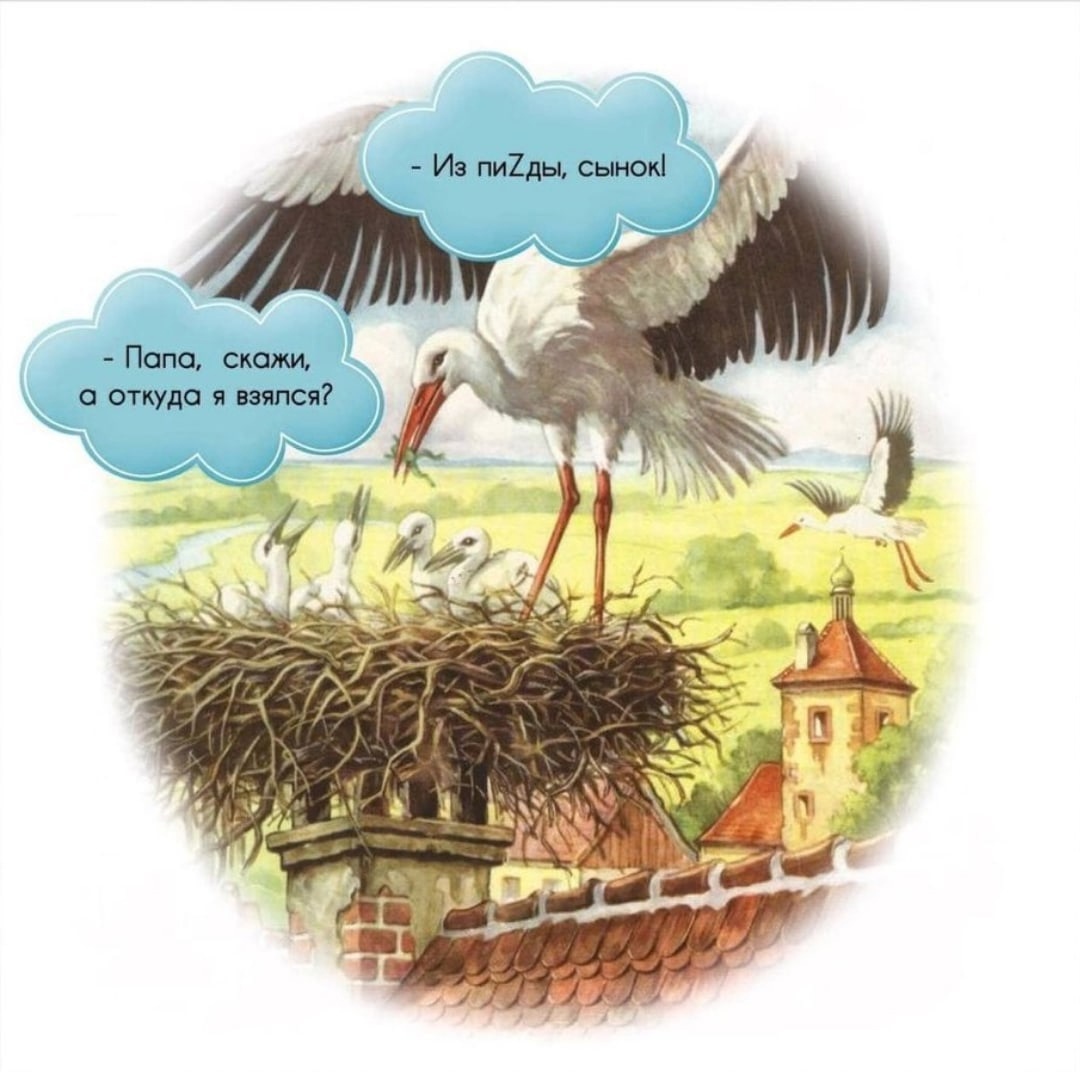 Анекдоты обо всем - Бодибилдинг форум AnabolicShops