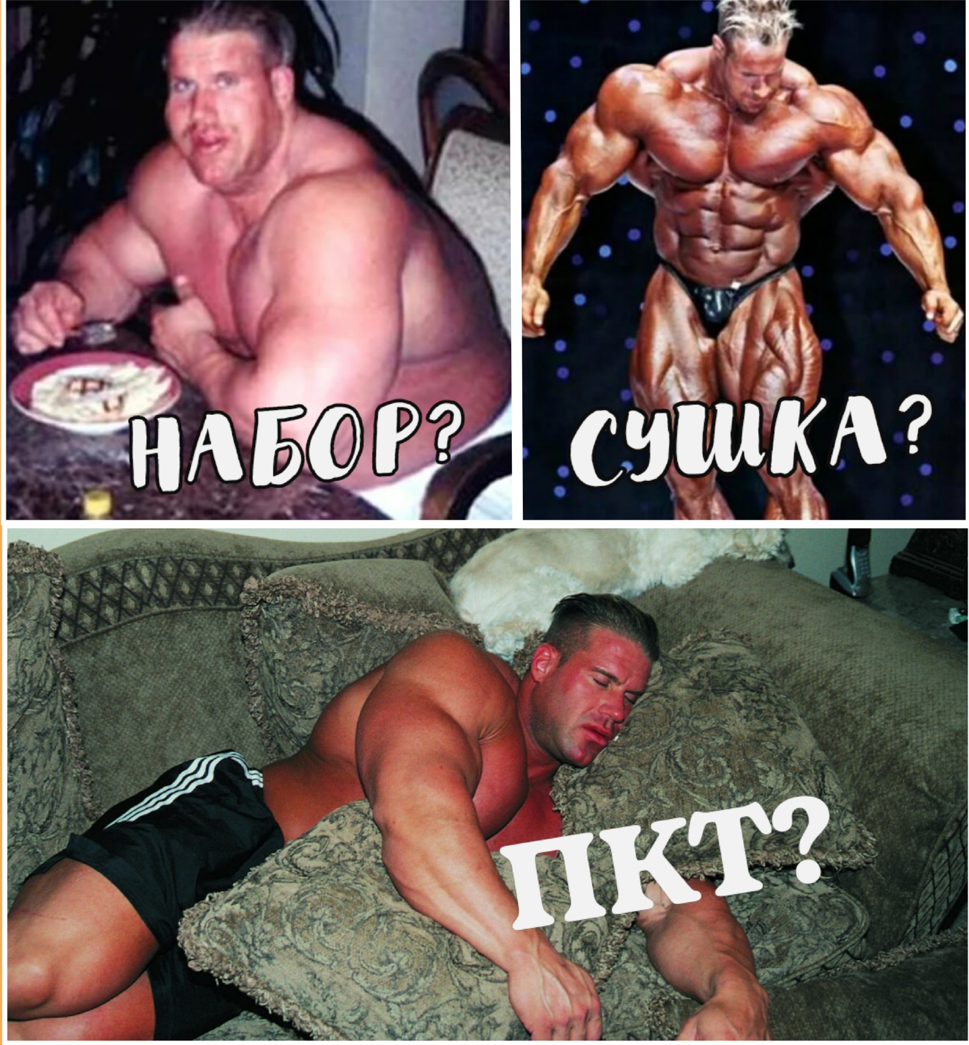 АНАБОЛИКИ.net - оф.дилер SP, Zerox, Genetic, Magnus, Lyka ! - Бодибилдинг форум AnabolicShops