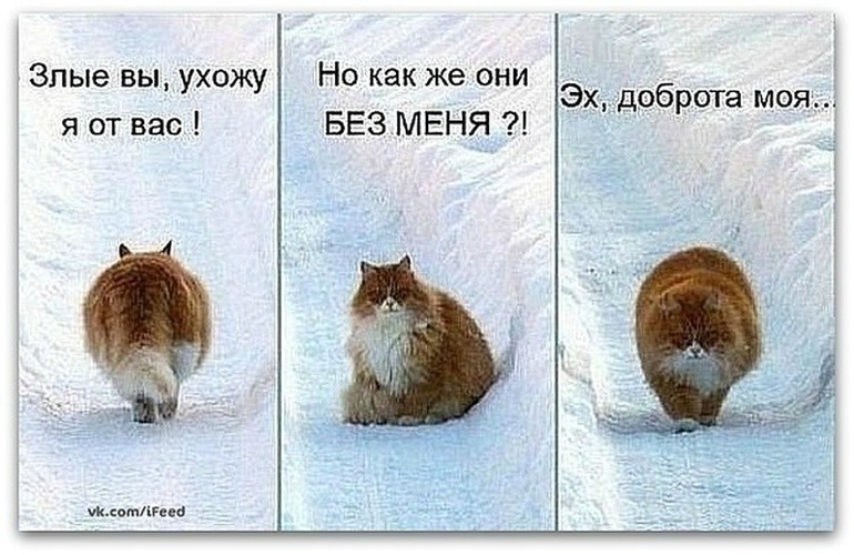 Анекдоты обо всем - Бодибилдинг форум AnabolicShops