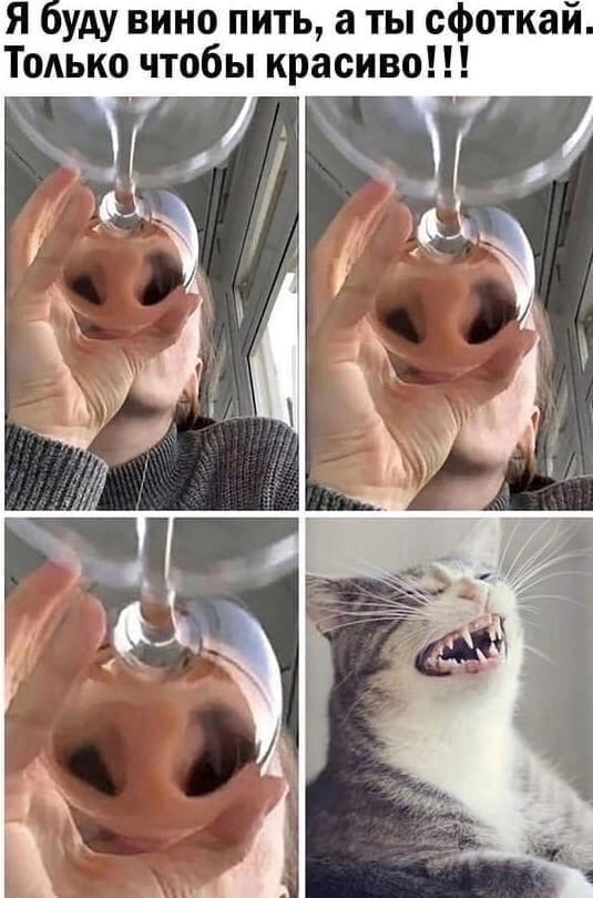 Анекдоты обо всем - Бодибилдинг форум AnabolicShops