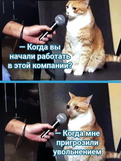 Анекдоты обо всем - Бодибилдинг форум AnabolicShops